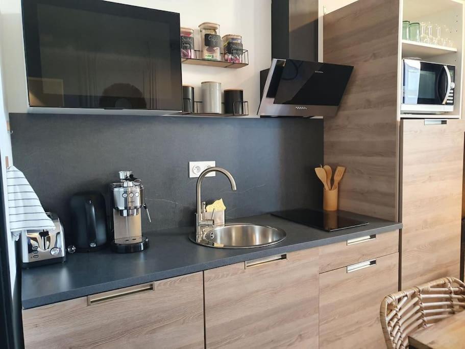 -Garrigue- Face A La Cite Medievale Studio Terrasse Classe 4☆ Καρκασόν Εξωτερικό φωτογραφία